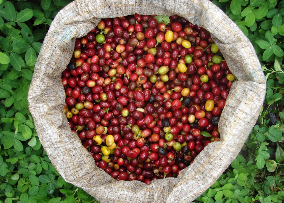 Armenia Coffee Tour Armenia Coffee Tour